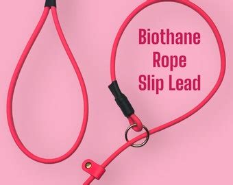 Biothane Rope Slip Lead - Etsy