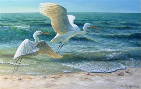 121 best images about Beautiful Beach Bird Photography on Pinterest | Herons, Gull and Sunny song