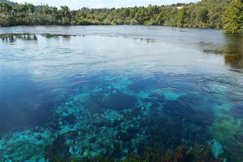 Top 10 Amazing Facts about Te Waikoropupu Springs - Discover Walks Blog