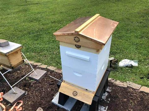 Installing a New Hive In Fall - PerfectBee