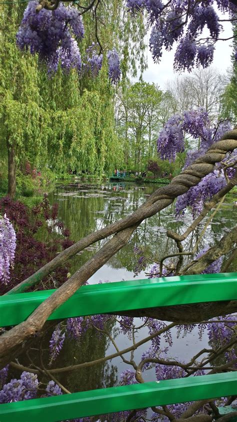 View of Monet's bridge | Monet garden giverny, Monet, Claude monet