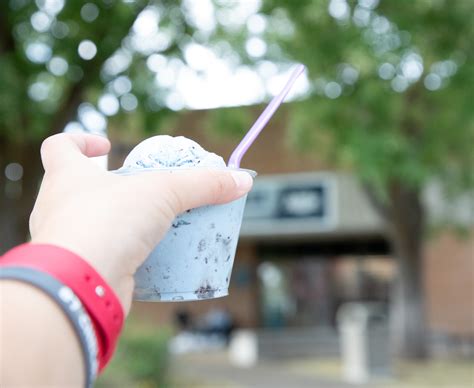 New Aggie Ice Cream location elevates the 100 year tradition - The Utah ...