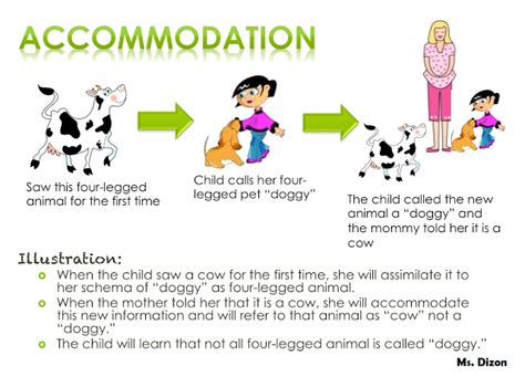 Assimilation vs. Accommodation - Teacher's Notes | Piaget: Schemas, Assimilation, and ...