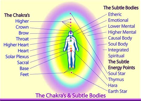 The Human Energy System - Your Aura, Chakras & Subtle Bodies | Aura colors meaning, Chakra, Subtle