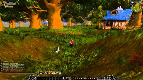 Elwynn Forest quests: 12# Report to Goldshire - YouTube