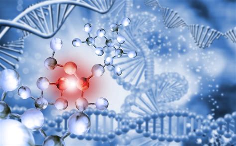 BIOCHEMISTRY AND MOLECULAR BIOLOGY ARE INCONSISTENT WITH DARWINISM – Greg Bredemeier | Darwins ...