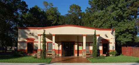 Veterinary Appointment In Jacksonville, FL | Kings Trail Animal Hospital