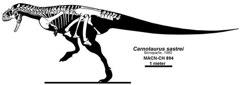 Species New to Science: [Paleontology • 1985] Carnotaurus sastrei • A ...