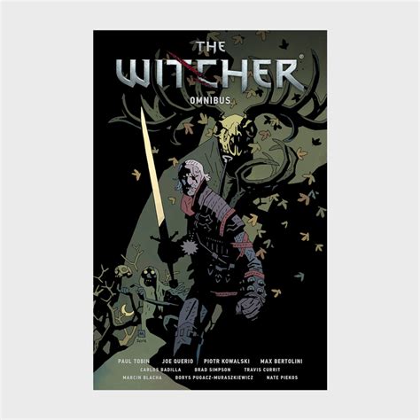 The Witcher Books: How to Read "The Witcher" Series in Order