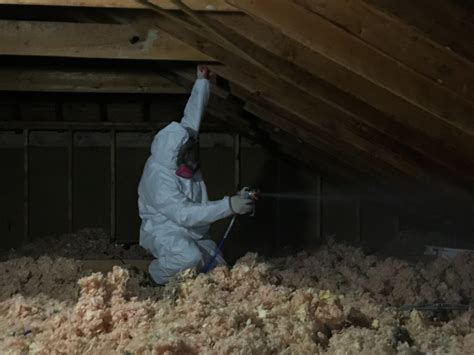 Attic Mold Removal Contractor - Green Insulation Experts