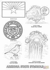 Asu Coloring Pages sketch template