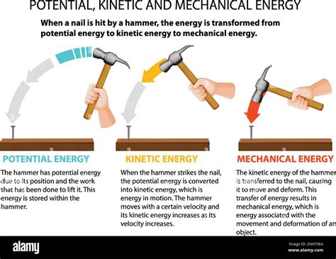 Potential, kinetic and mechanical energy vector illustration Stock Vector Image & Art - Alamy