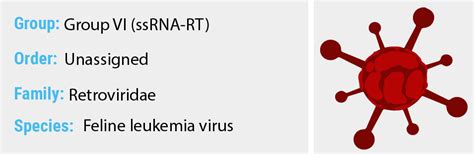 Feline Leukemia virus - Quip Labs