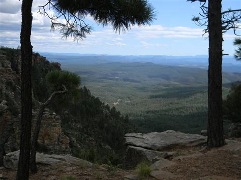 After the Trees: Pine, Arizona