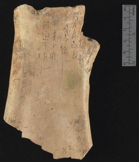 Chinese oracle bones: from rubbings to 3D scans – The History Blog