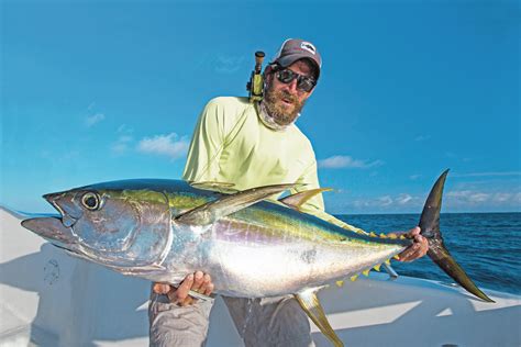 Fly Fishing Yellowfin Tuna - The Catch, Facts, Flies, Rods & More