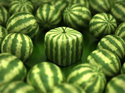 Is Watermelon Healthy? | Food Revolution Network