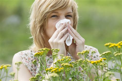 Hooikoorts en pollen - WUR