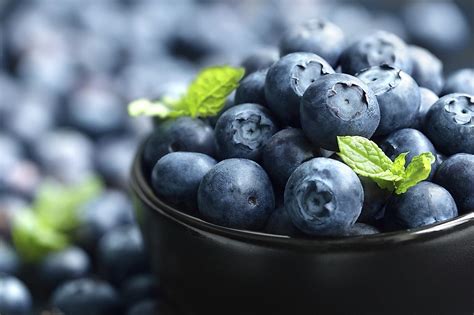 Top 10 Blueberry Producing States In America - WorldAtlas.com