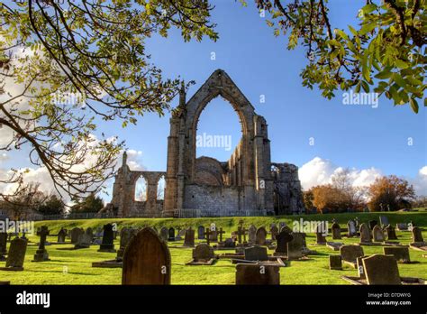 Historic Bolton Abbey in Yorkshire, England Stock Photo, Royalty Free Image: 56239444 - Alamy