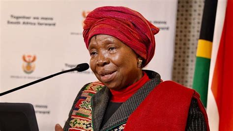 Nkosazana Dlamini-Zuma Biography: Husband, Children, Age, Net Worth ...