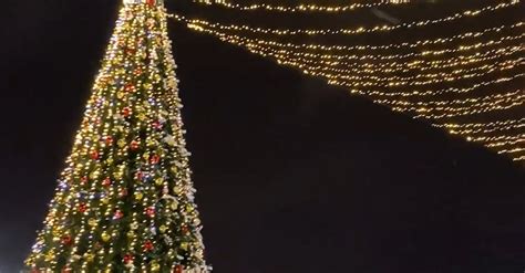 Christmas Lights and Christmas Trees Free Stock Video Footage, Royalty ...