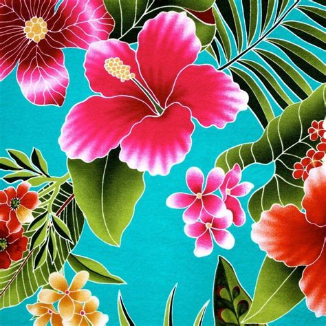 Hawaiian Flowers Wallpapers - Top Free Hawaiian Flowers Backgrounds - WallpaperAccess