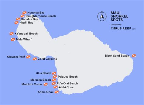 Best Maui Snorkeling: Top 16 Spots | Citrus Reef