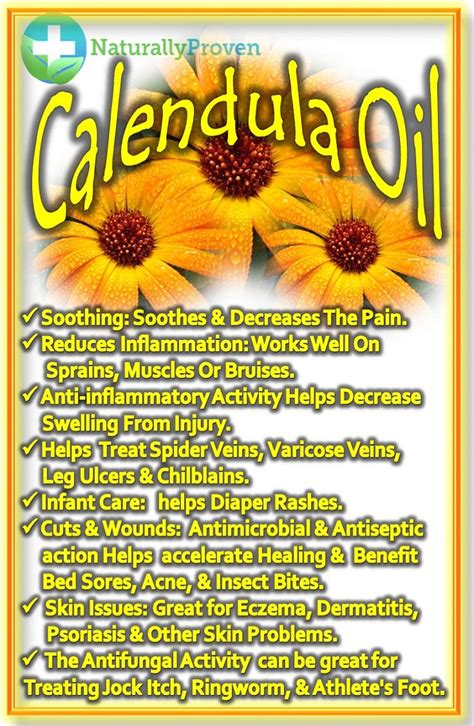 Calendula - A Carrier Oil | Calendula essential oil, Calendula oil, Carrier oils