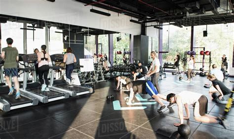 Group of people working out in gym - Stock Photo - Dissolve