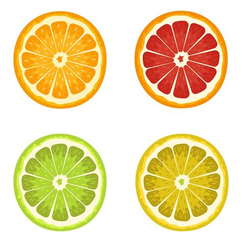 Set of citrus isolated 1269673 Vector Art at Vecteezy