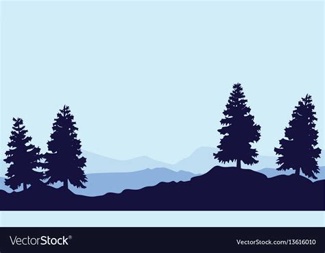 Silhouette of tree spruce on the hill landscape Vector Image