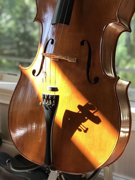 The cello really is a beautiful instrument. : r/Cello