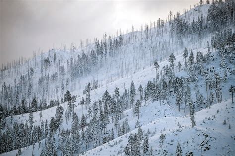 California's snowpack, aided by atmospheric rivers, could help drought ...