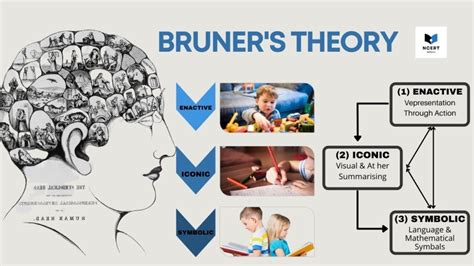 ⛔ Jerome bruner theory of language acquisition. Theories of Language Acquisition: Differences ...