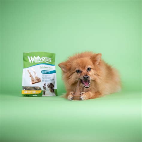 Celebrating National Pet Dental Health Month with Whimzees! — instadoggo