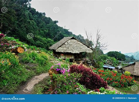 Northern Thailand Countryside Stock Photo - Image of bamboo, hmong: 20859414