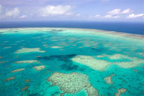 Coral Reef Surveys Take to the Skies