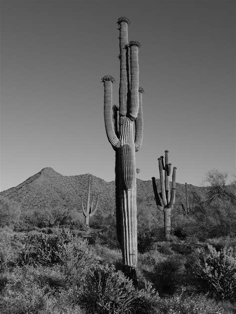 Photo of the Day Archive | Arizona Highways