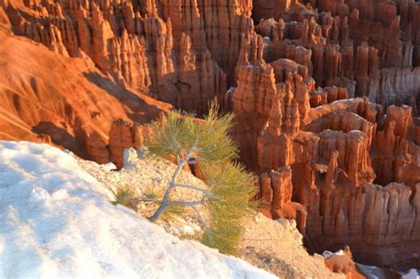 Winter in Bryce Canyon - You have to see it!