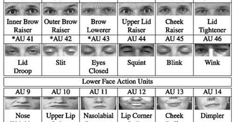 Paul ekman facial action coding system - funsno