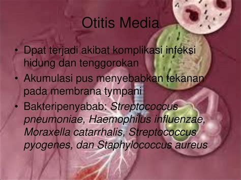 Moraxella catarrhalis treatment antibiotics