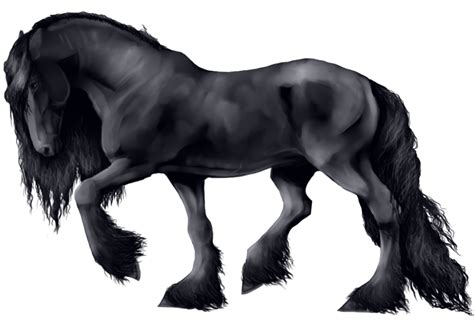 Friesian Horse by pipamir on DeviantArt