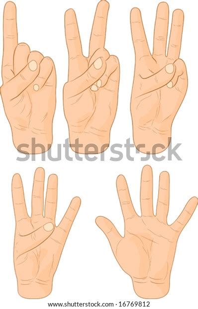 Numbers Hand Signs Vector Illustration Stock Vector (Royalty Free ...