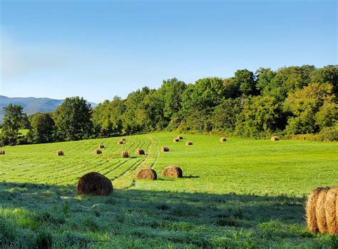 2019 Vermont Fall Foliage: Early Reports | Vermont.com