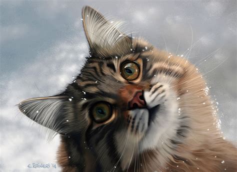 Cat in the snow by elirain on DeviantArt