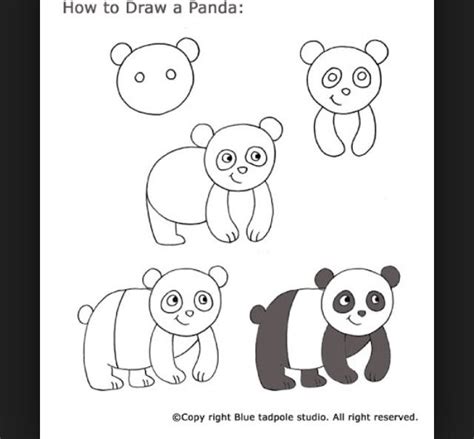 How To Draw Animals For Beginners | Drawing for kids, Easy drawings, Drawings