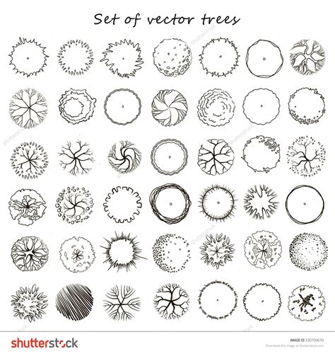 Tree Plan Vector at Vectorified.com | Collection of Tree Plan Vector ...