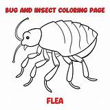 FLEA Coloring Page For A Children Bugs coloring Book  Premium AI sketch template