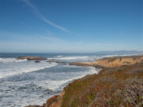 Pescadero State Beach: Everything You Need to Know